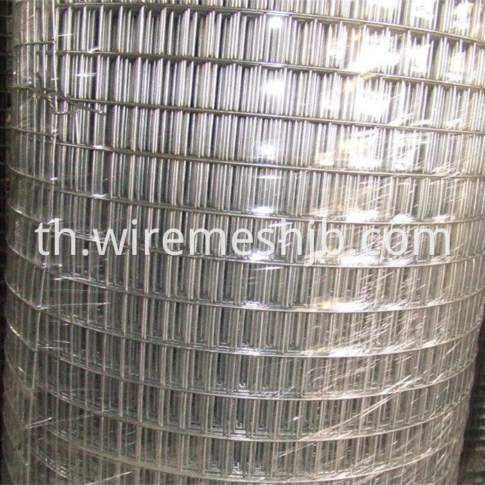 Hot Dipped Galvanized Welded Mesh